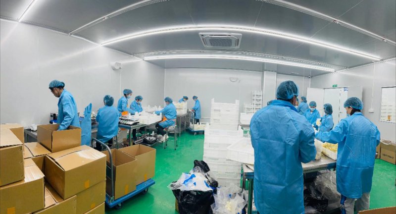 工业自动化：推动制造业转型升级